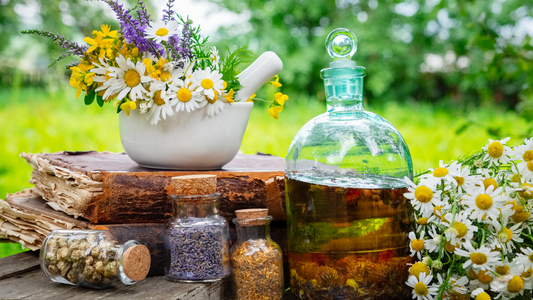 Anointing Oils for Beginners: How to Use Them for Self-Concept Work